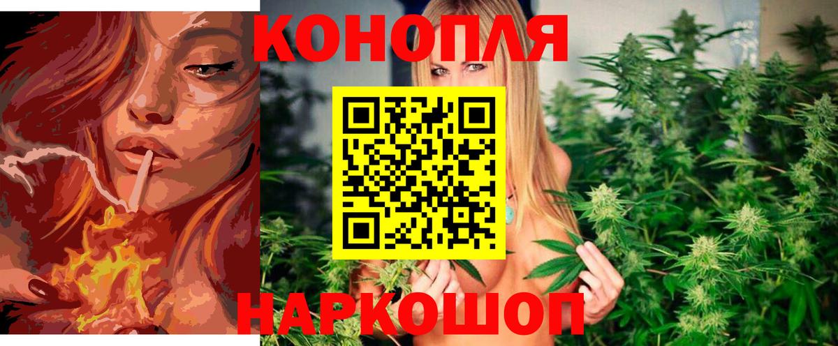 Бошки марихуана OG Kush Кыштым
